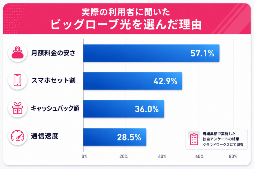ビッグローブ光を選んだ理由