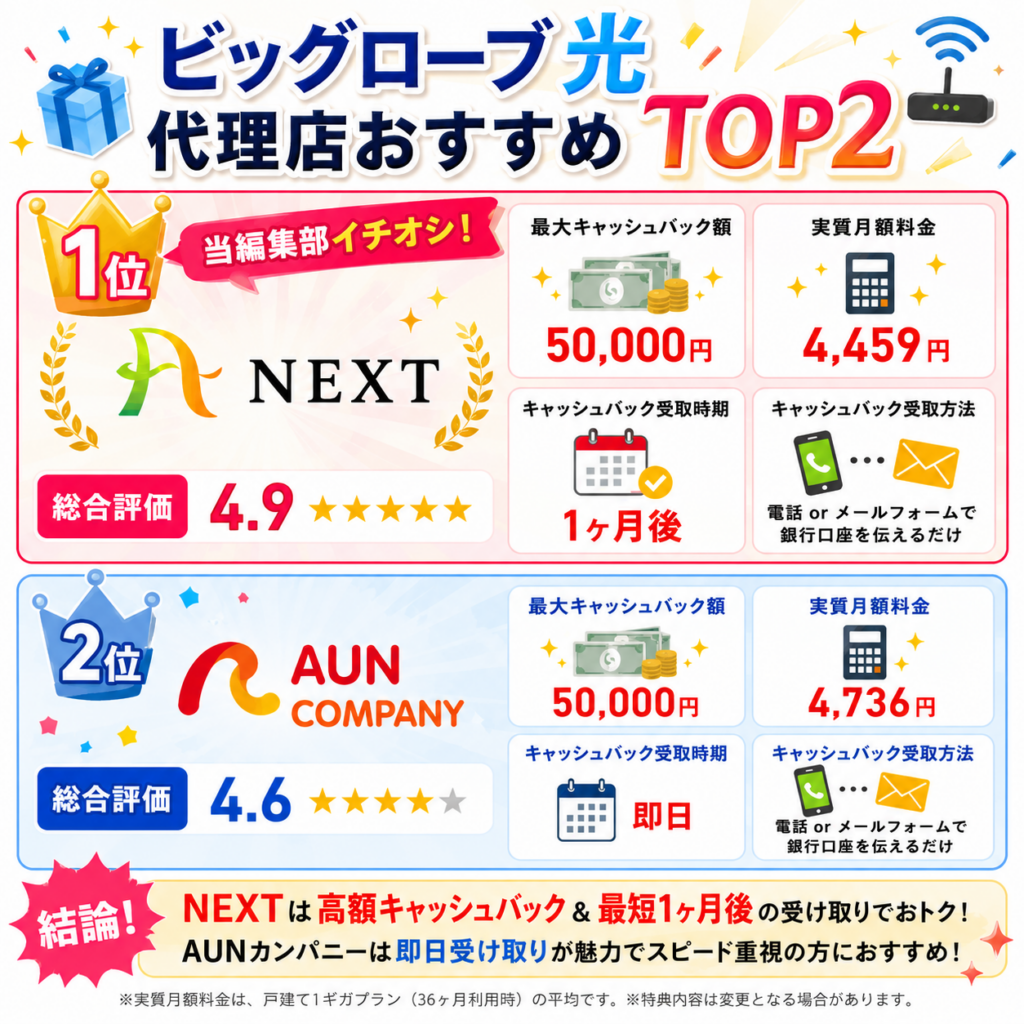 ビッグローブ光結論図解
