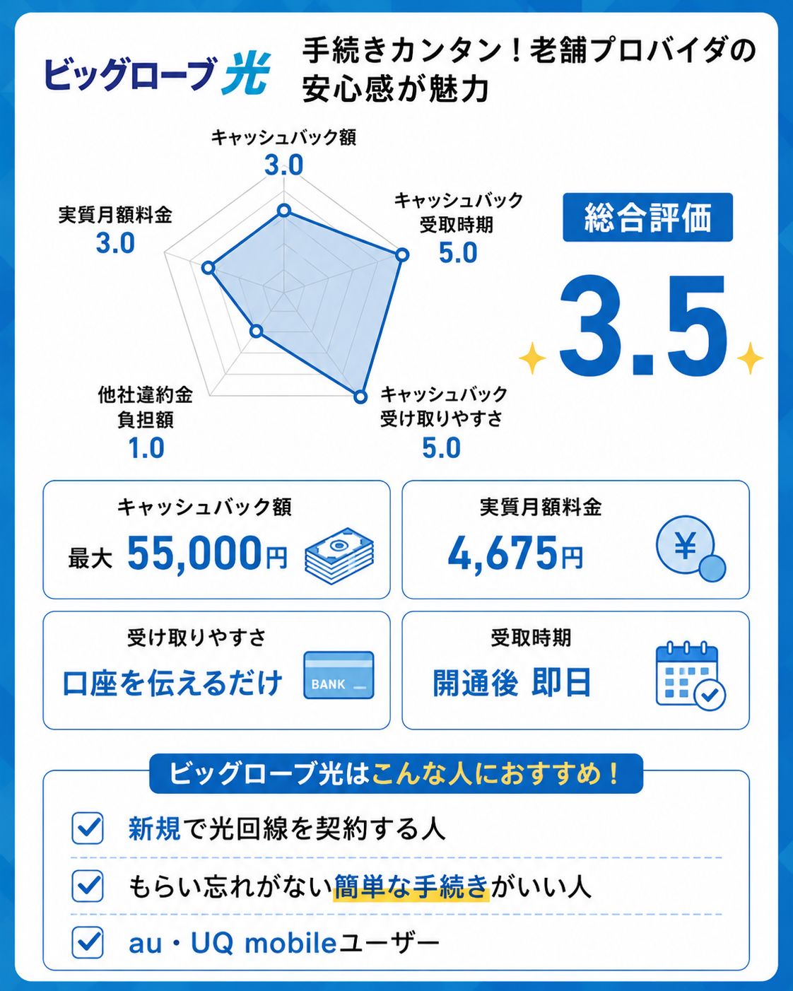 光回線即日キャッシュバックのレーダーチャートビッグローブ光